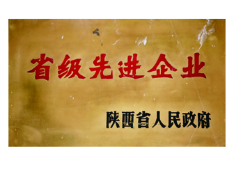 省級先進企業(yè)
