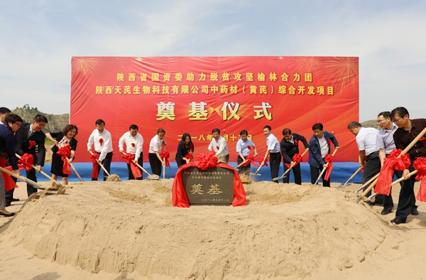 陜煤集團(tuán)榆林合力產(chǎn)業(yè)扶貧開發(fā)公司中藥材深加工項(xiàng)目落地